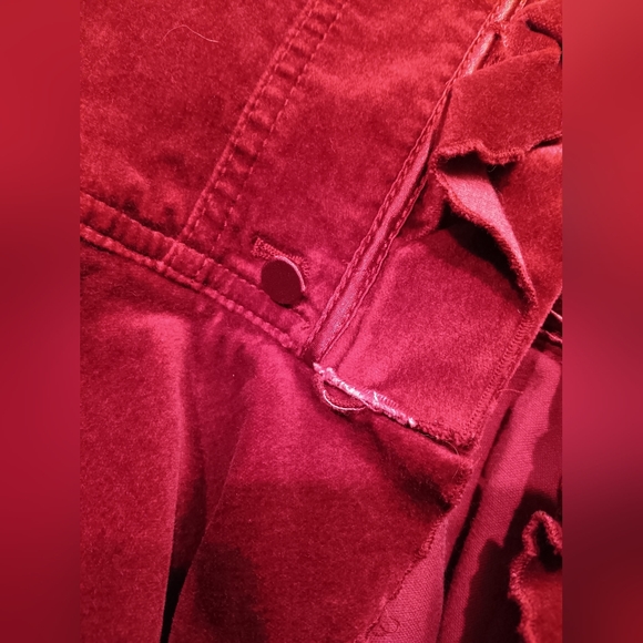 Velvet Blazer - Picture 10 of 12